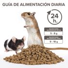 Beaphar Care+ Pienso para jerbos y ratones, , large image number null